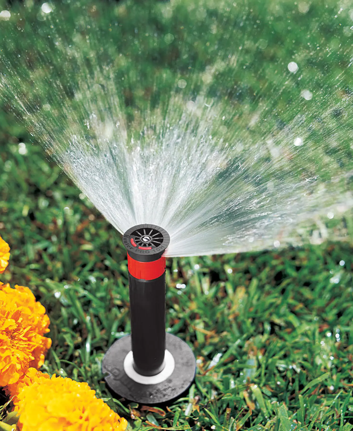 Cuerpo POP-UP Pro-Spray 06 15 CM - Hunter 3