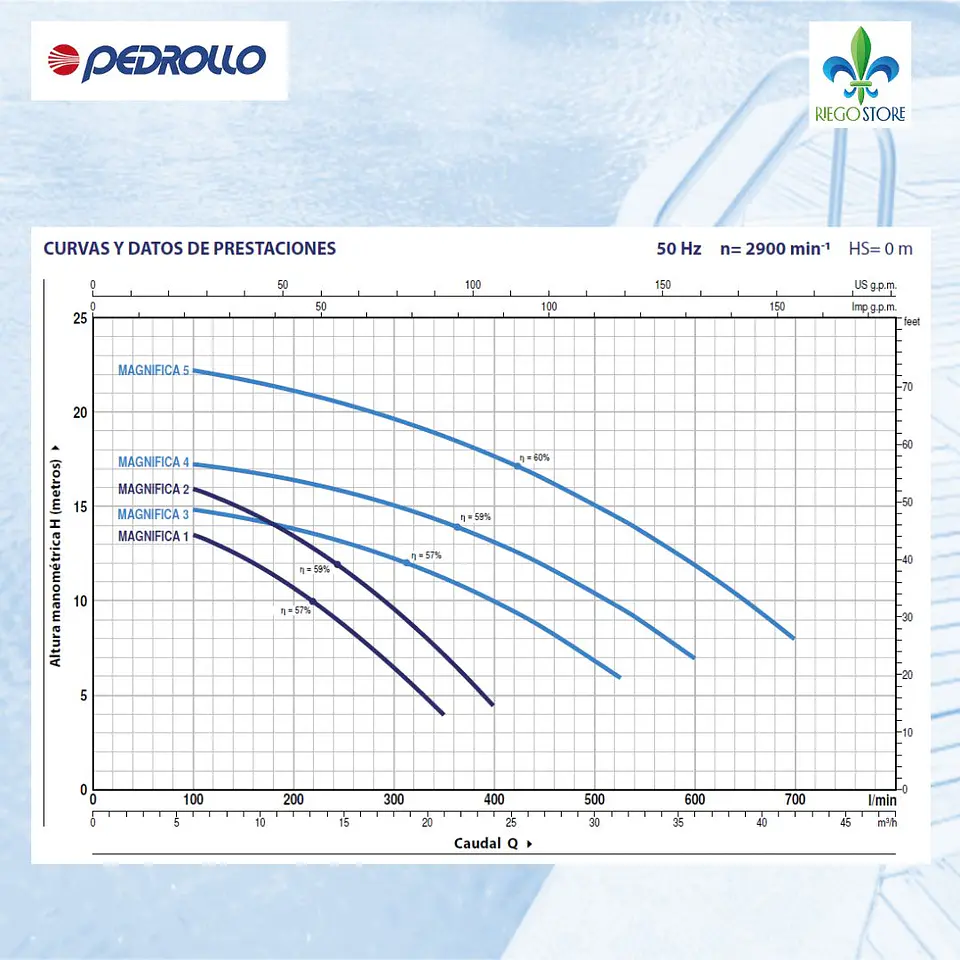 Bomba Piscina Magnifica 1M 0,75 HP /220v - Pedrollo 3