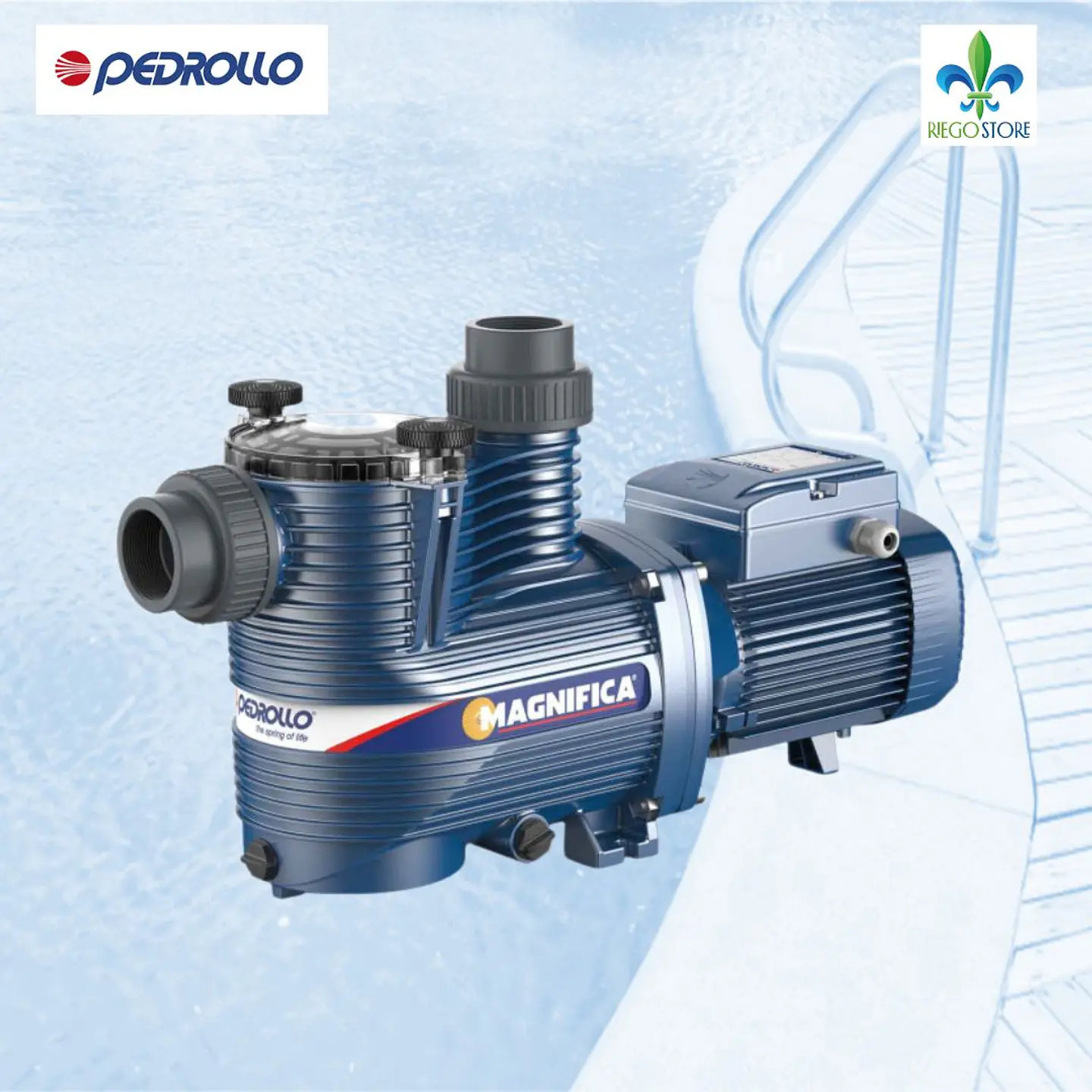 Bomba Piscina Magnifica 1M 0,75 HP /220v - Pedrollo 1