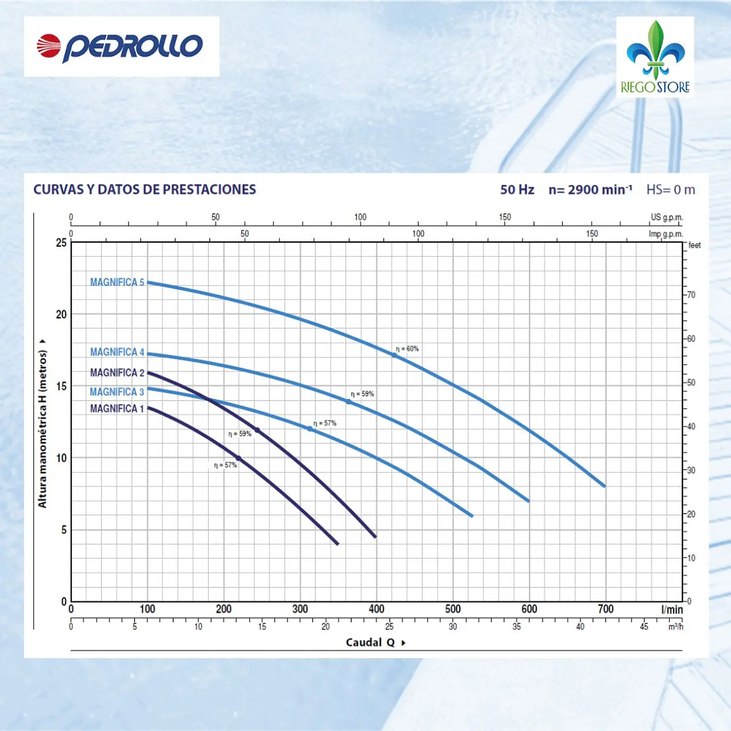 Bomba Piscina Magnifica 4M 2.0 HP /220v - Pedrollo 3
