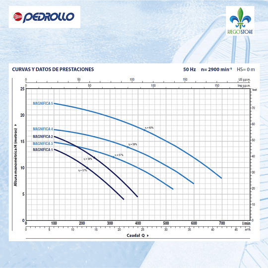 Bomba Piscina Magnifica 5T 3.0 HP /220v - Pedrollo