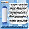 Filtro Cartucho Carbon Activo Granular 10