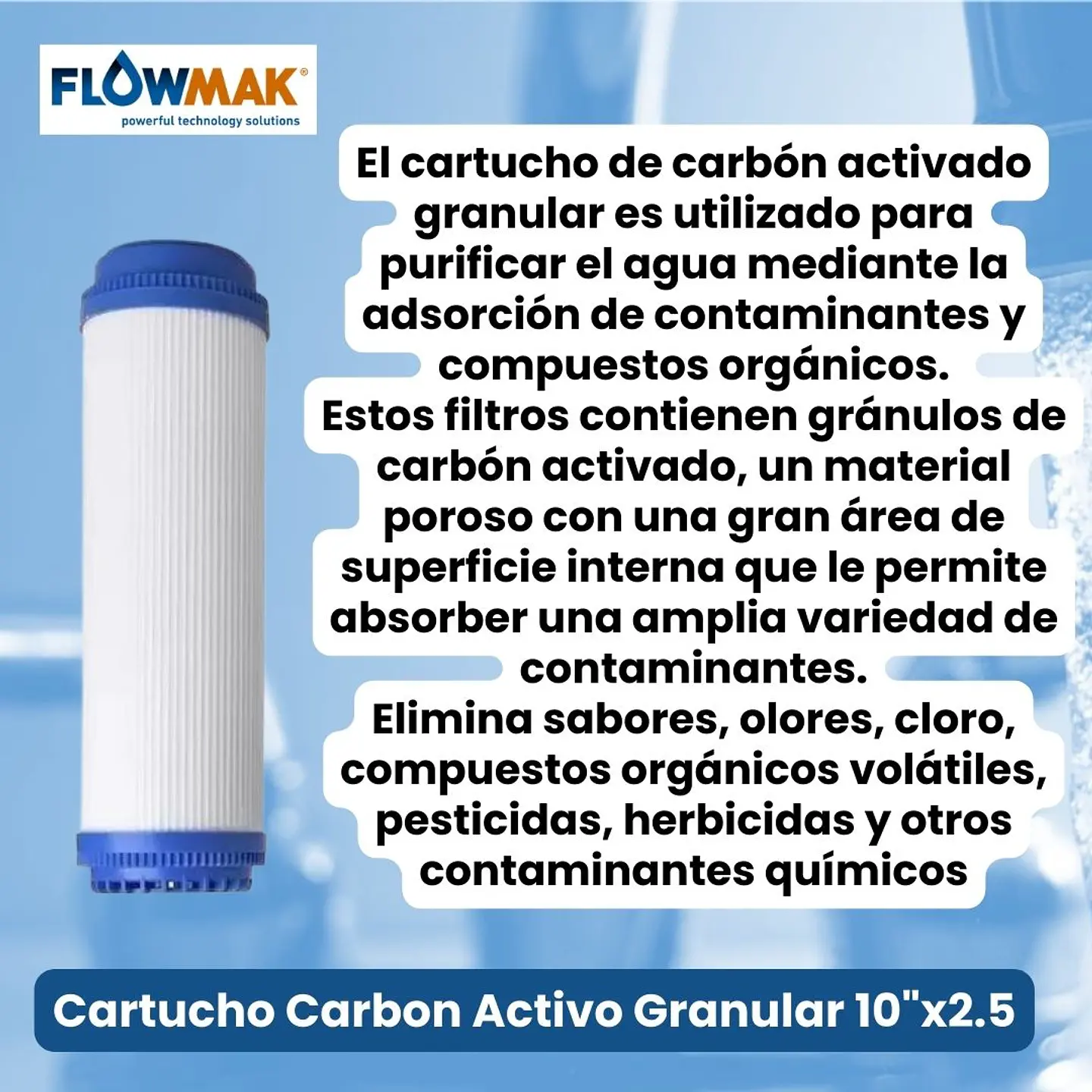Filtro Carbon Activo Grano 10