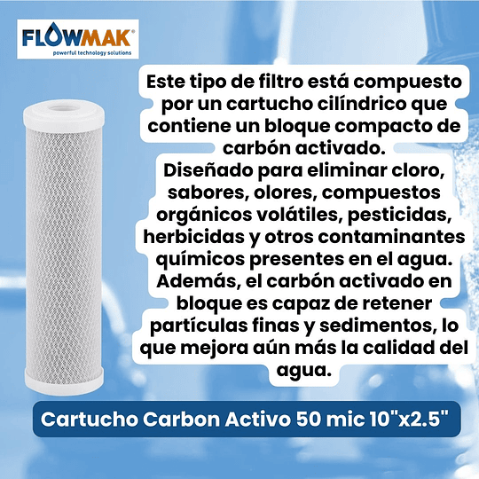 Filtro Cartucho Carbon Activo 50 mic 10