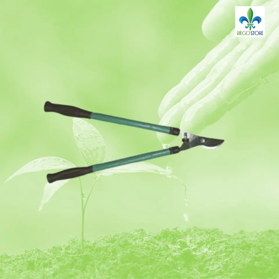 Herramienta Jardin Tijeron Tipo By Pass 21 CT - GS 1