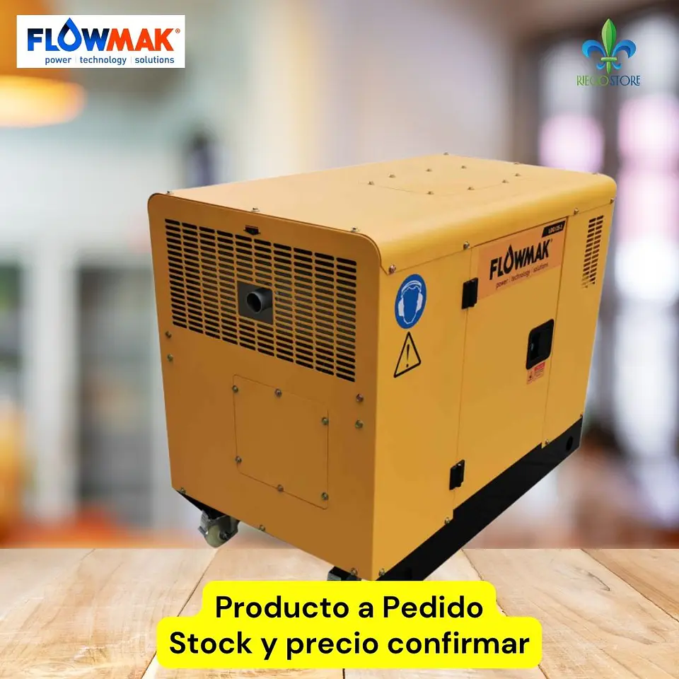 Generadores Diesel LDG12S 220V 10KW - FlowMak 2