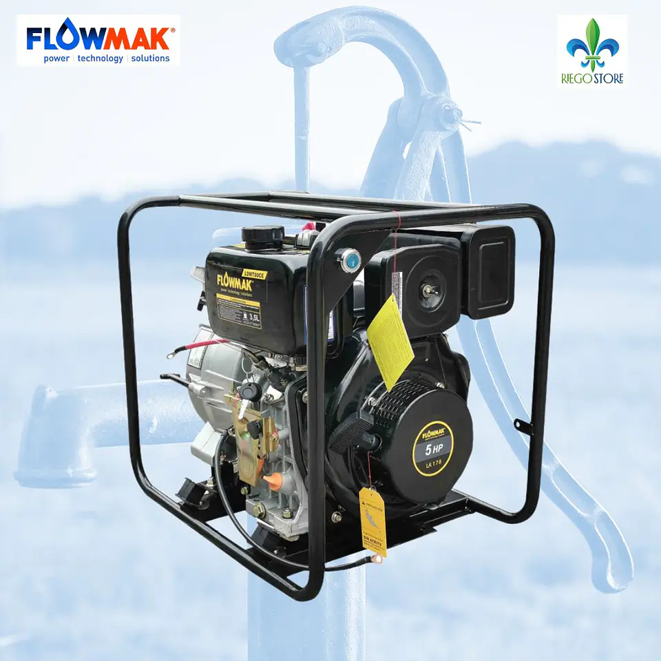 MotoBomba Autocebante LDWT80CE Diesel 3