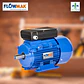 Motor Electrico 1.5 HP 4P 1400 RPM - FlowMak - Miniatura 2