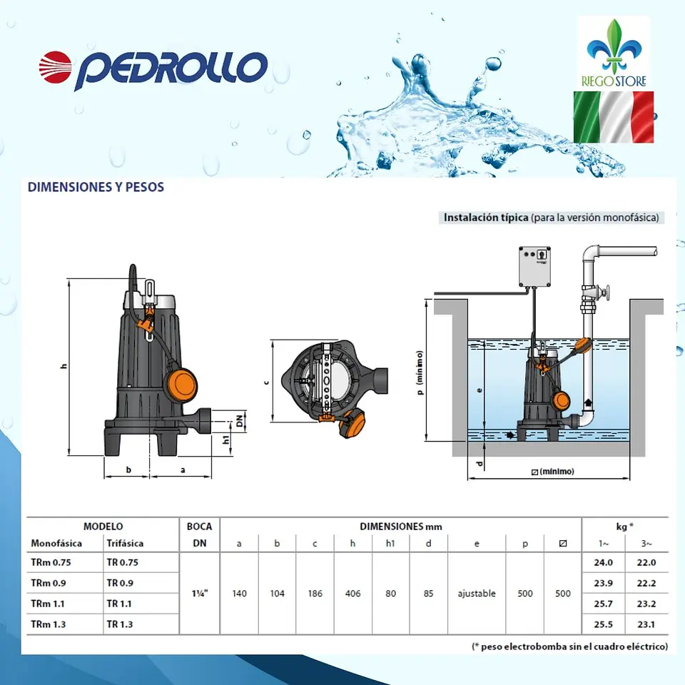 Bomba sumergible Pedrollo Tritus TR 0.75 1 HP 400 V 5