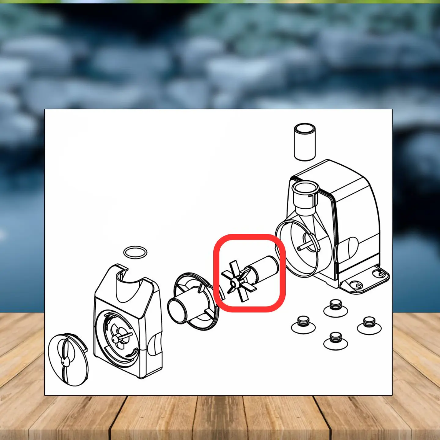 Repuesto Bomba Nova Rotor e impulsor - SICCE 3