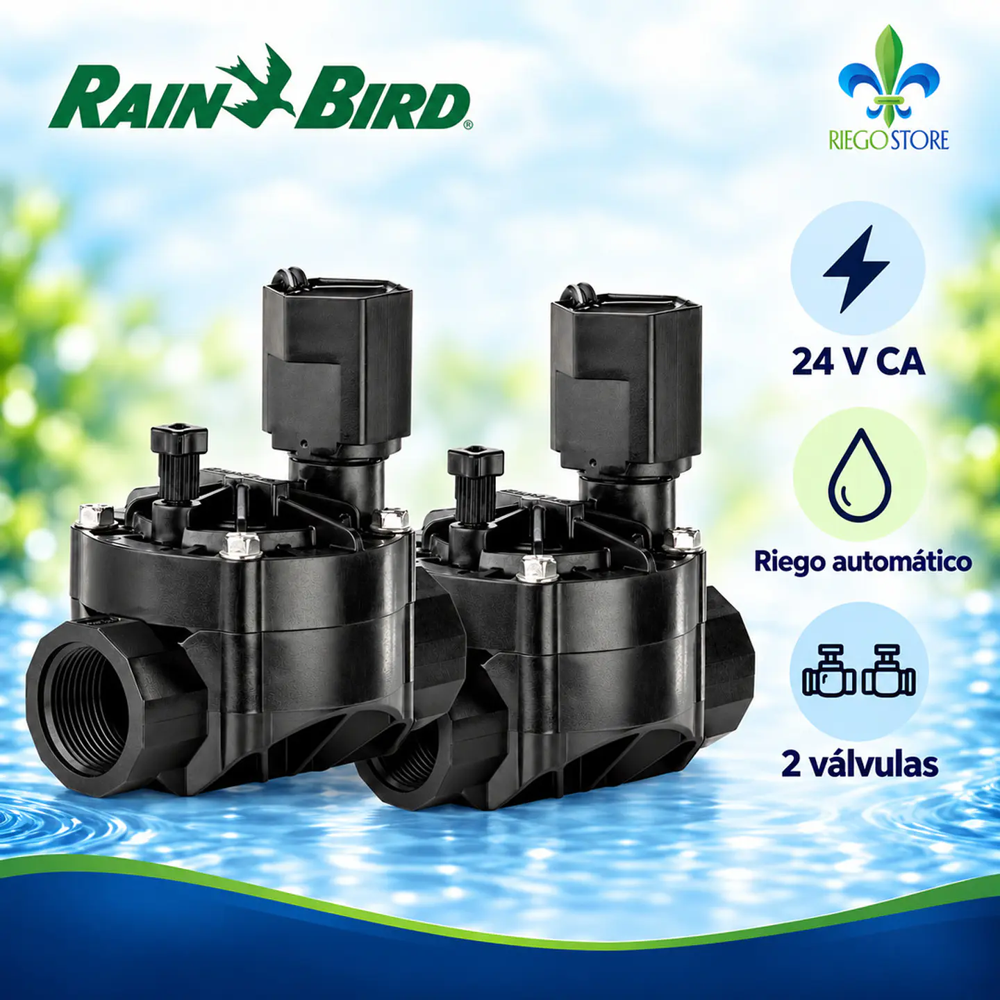 Kit 2 válvulas Rain Bird 100 HV 1