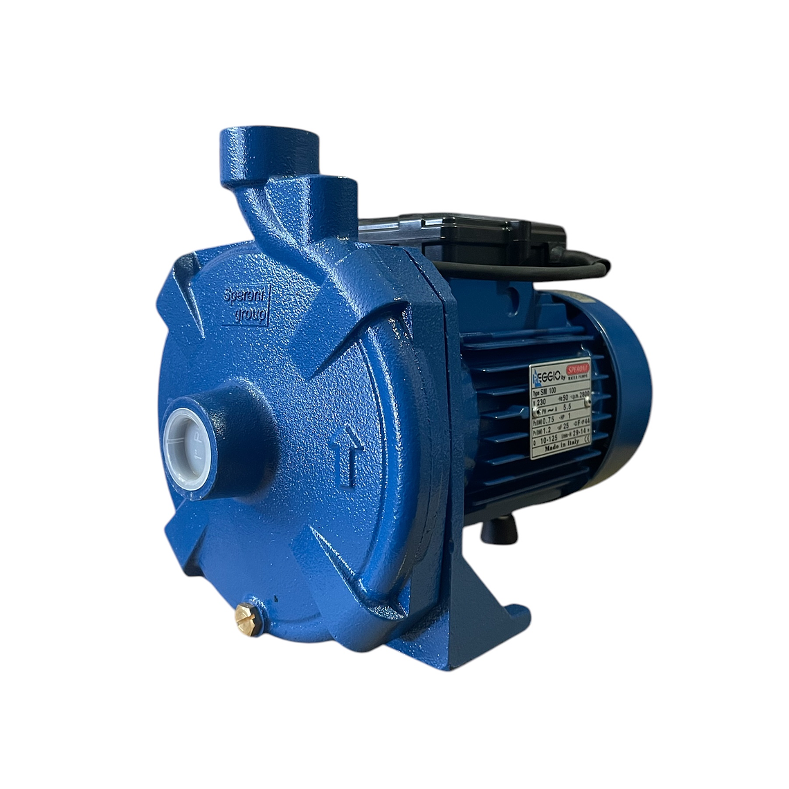 BOMBA CENTRIFUGA 1HP 220V SM 100 REGGIO 1