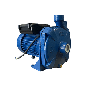 BOMBA CENTRIFUGA 1HP 220V SM 100 REGGIO