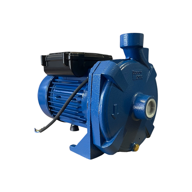 BOMBA CENTRIFUGA 1HP 220V SM 100 REGGIO 2