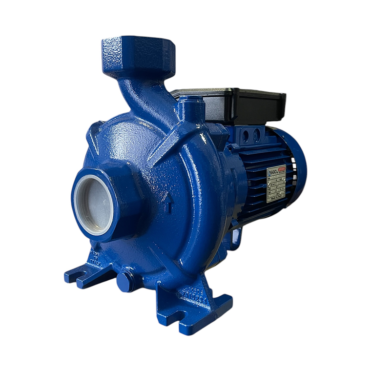 BOMBA CENTRIFUGA 1,5HP 220V CFM 150 (BR) REGGIO  1