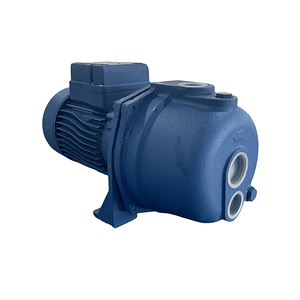 BOMBA CENTRIFUGA 1HP 220V (SA) 100 REGGIO