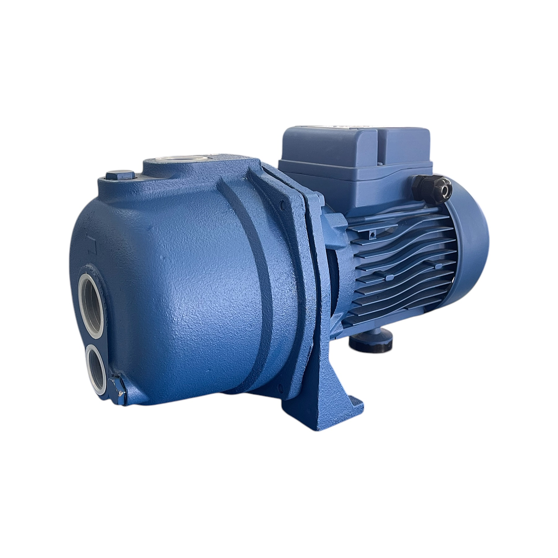 BOMBA CENTRIFUGA 1HP 220V (SA) 100 REGGIO 1