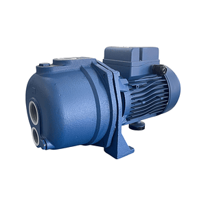 BOMBA CENTRIFUGA 1HP 220V (SA) 100 REGGIO