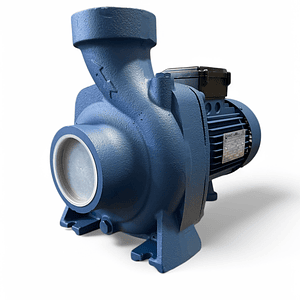 BOMBA CENTRIFUGA DE GRAN CAUDAL 1,5HP 220V SCF2  REGGIO