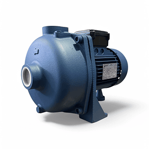 BOMBA CENTRÍFUGA 2HP 220V STBJ 200 REGGIO