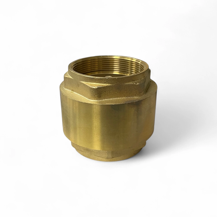 VÁLVULA DE RETENCIÓN VERTICAL 1