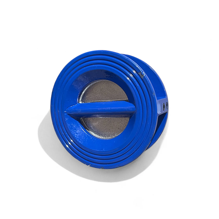 VÁLVULA DUOCHECK DE FIERRO 2