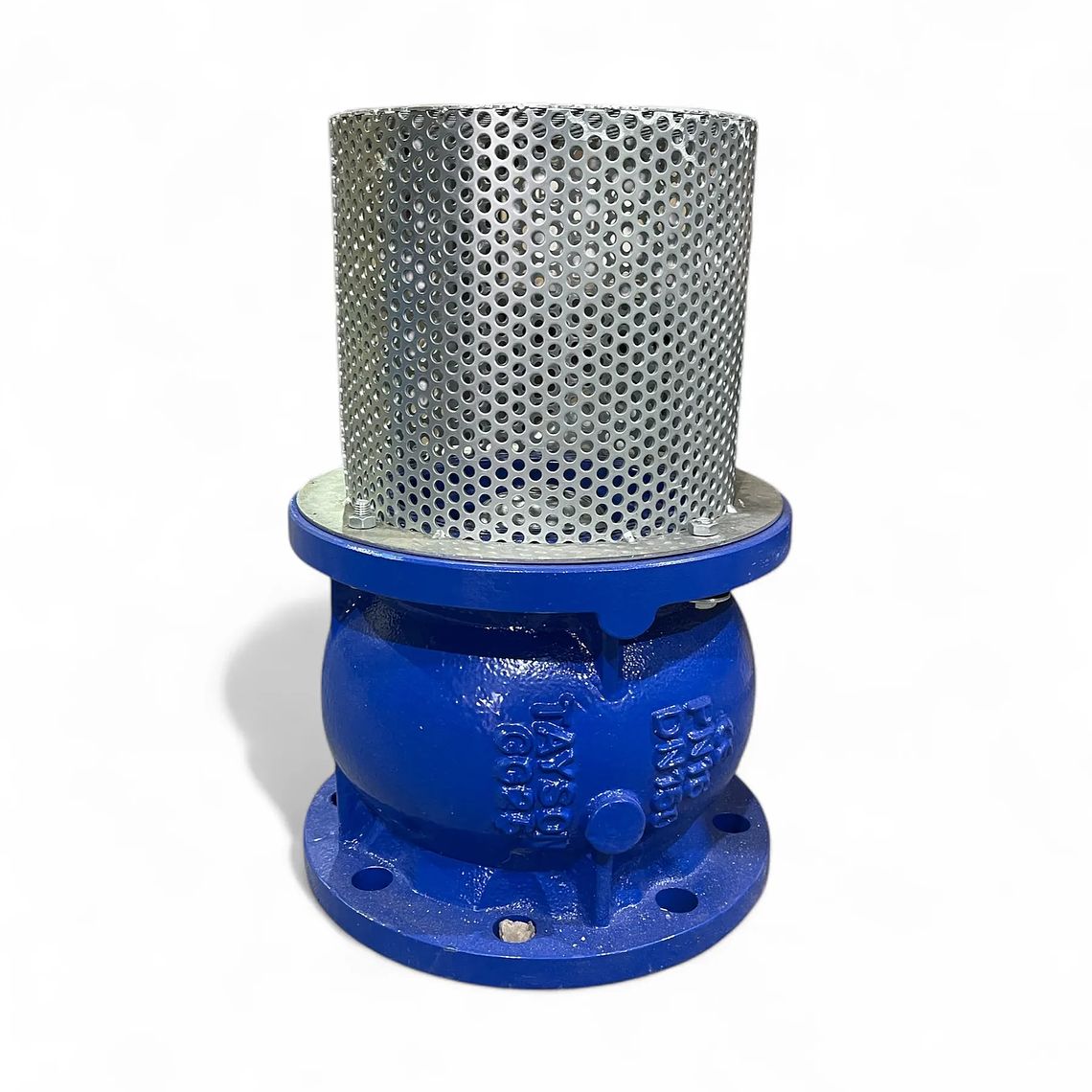 VÁLVULA DE PIE DE FIERRO 1