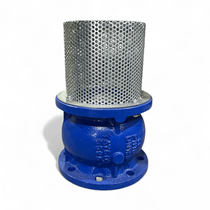 VÁLVULA DE PIE DE FIERRO