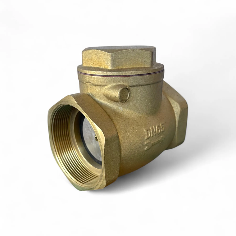 VALVULA DE RETENCIÓN HORIZONTAL CHAPALETA BRONCE 1
