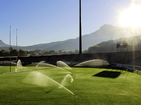 Riego por goteo vs aspersión: ¿Cuál es la mejor opción para tu cultivo y presupuesto?