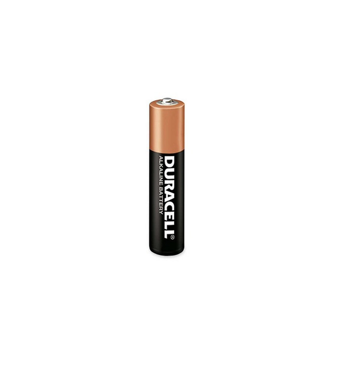 Pila Duracell Aa   Unidad 1