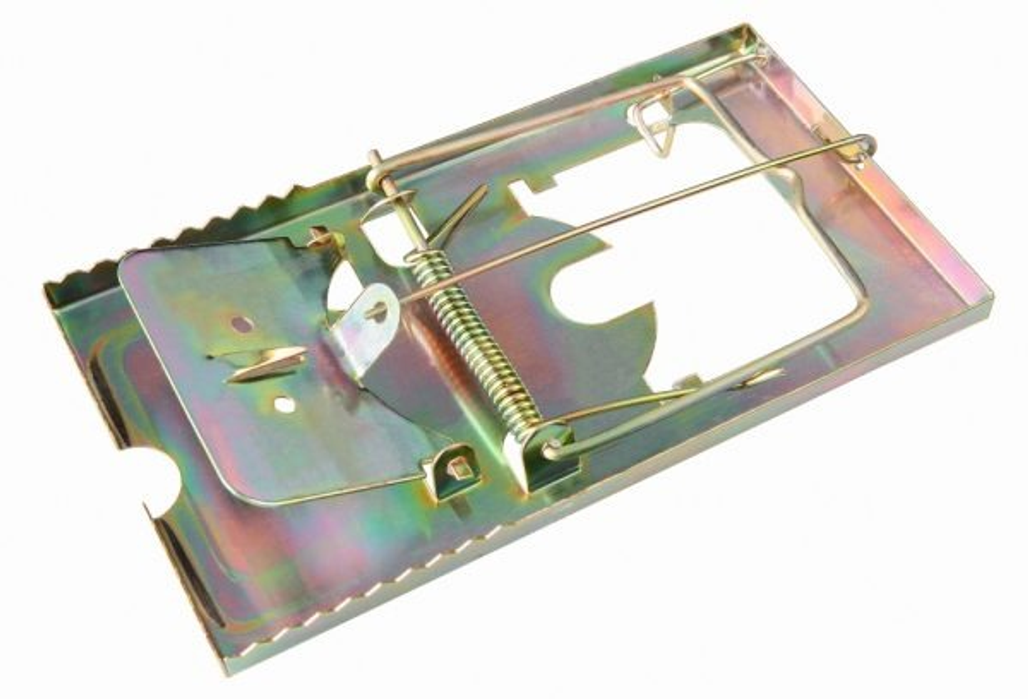 Trampa Raton Metal Grande TBA002 1