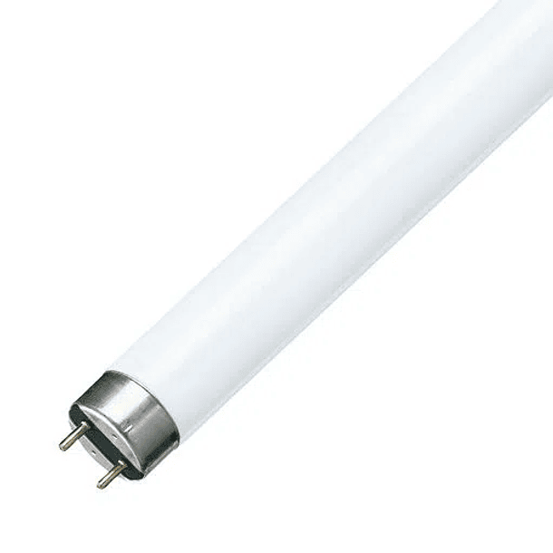 tubo fluorescente tld18w/daylight18 | Rielec Limitada