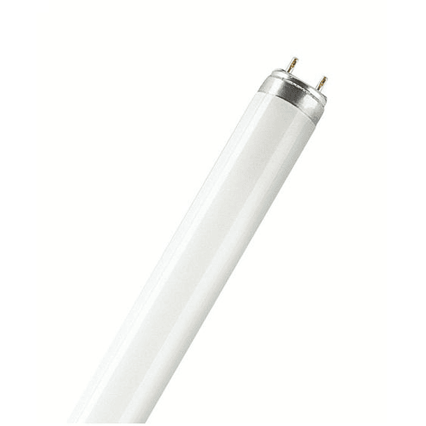 tubo fluorescente tld18w/daylight18 | Rielec Limitada