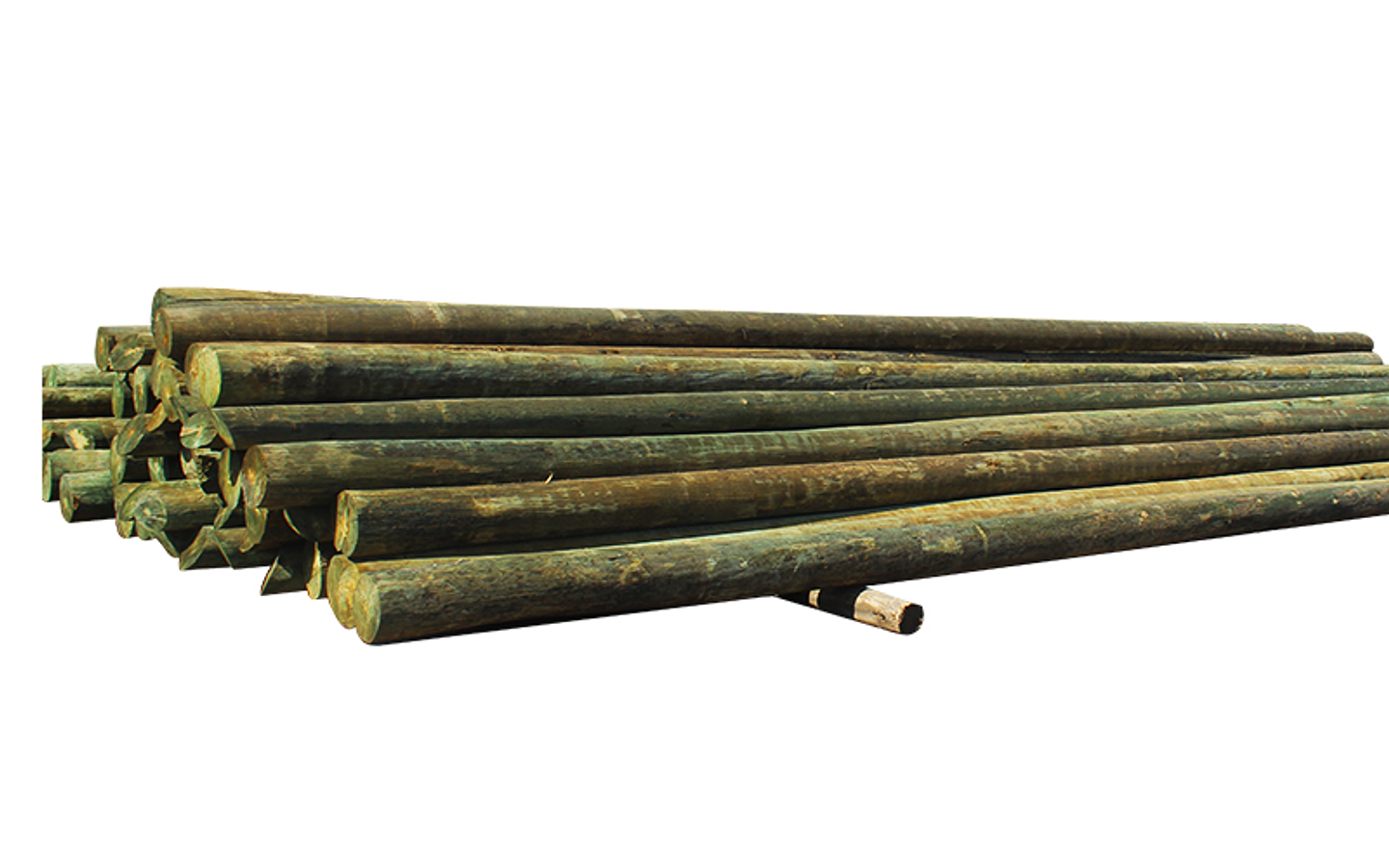 Poste Madera Tratado  11,5  Mts C5 1