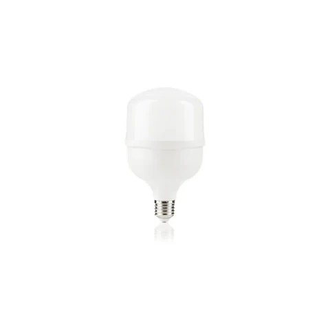 Ampolleta Led Alta Potencia E27 30W 6500K Megabright