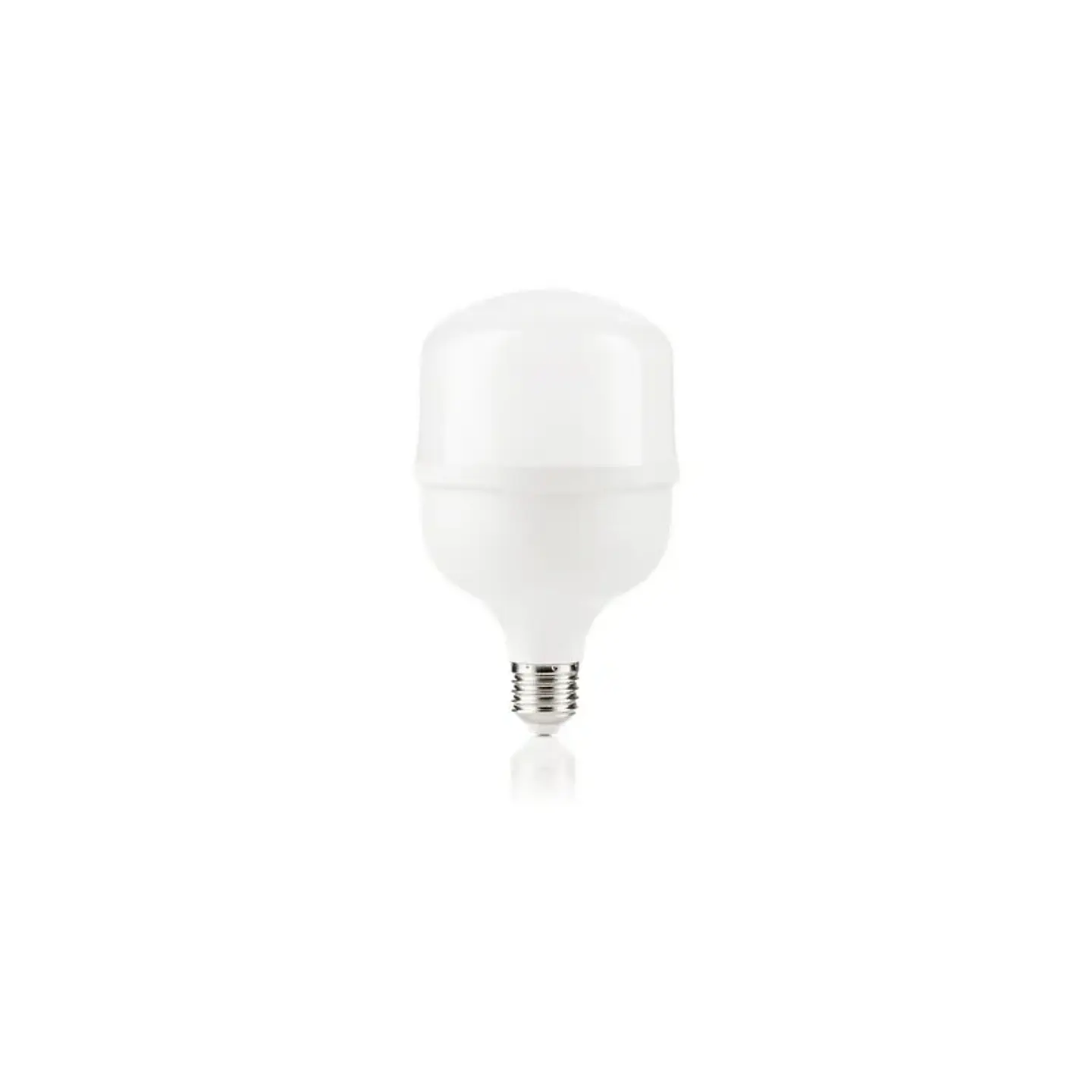 Ampolleta Led Alta Potencia E27 30W 6500K Megabright 1