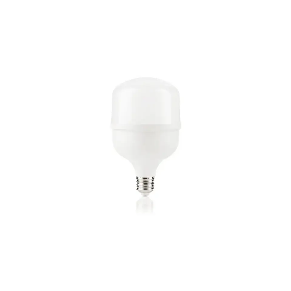 Ampolleta Led Alta Potencia E27 30W 6500K Megabright 1