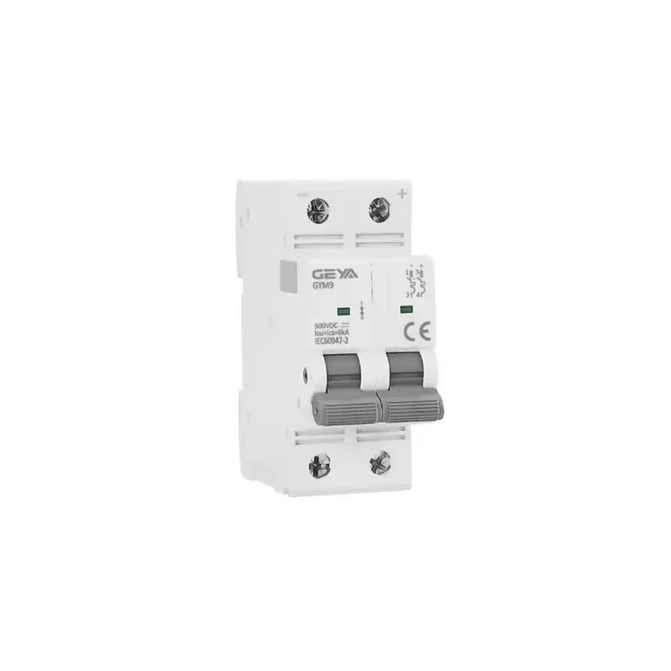 Dc Breaker 2x100A 550Vdc Geya 1