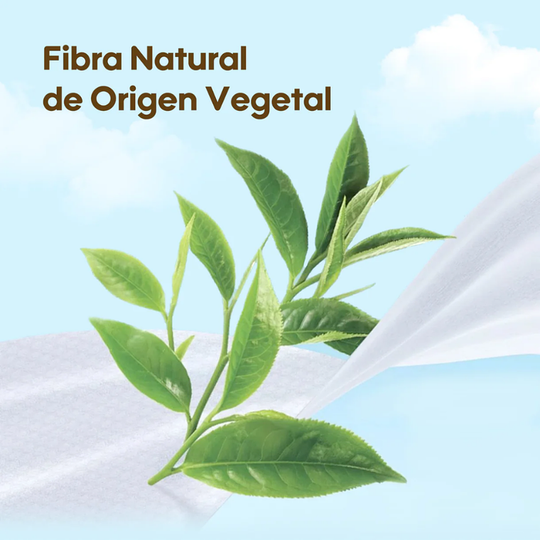 Aiwibi Toallitas Húmedas Papaya con Agua de Manantial 5