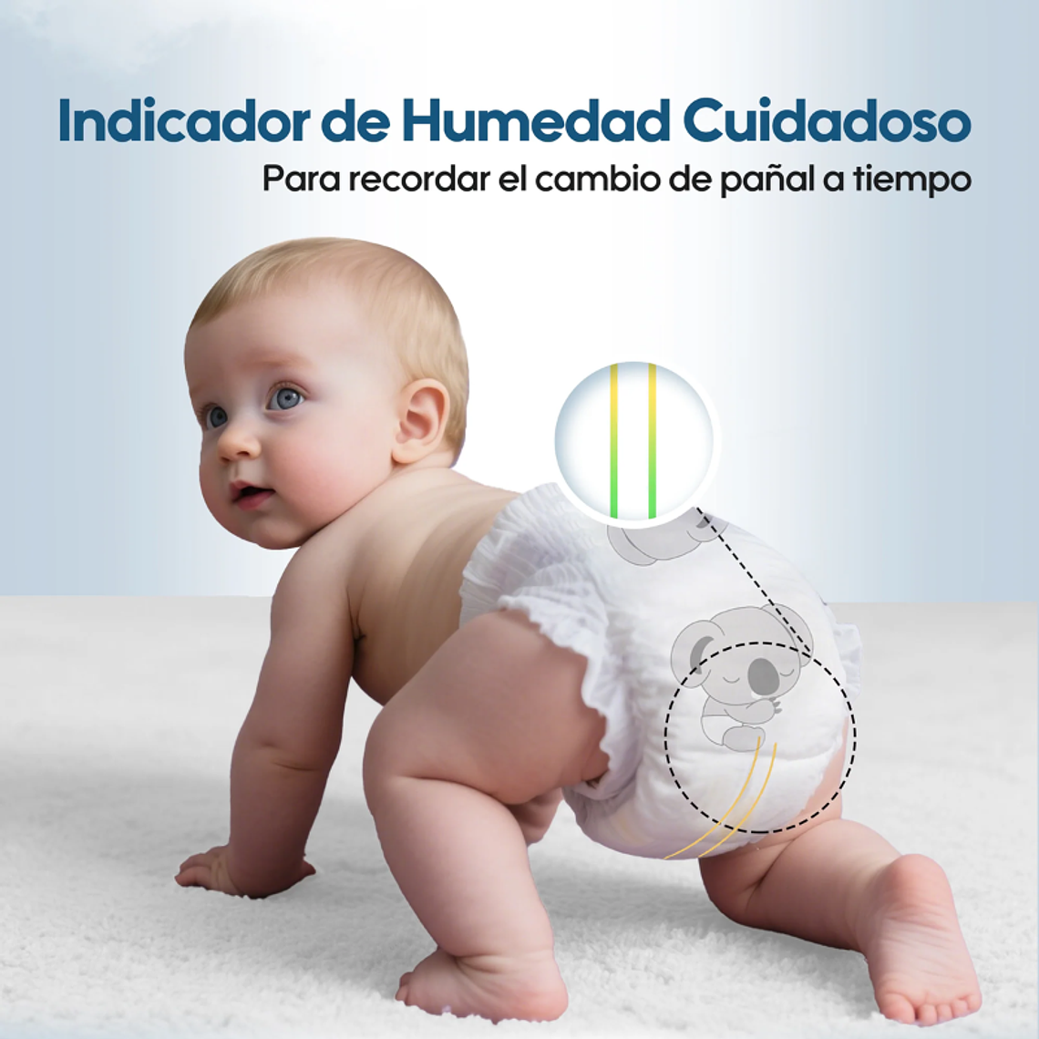 Aiwibi Premium XXXG 11