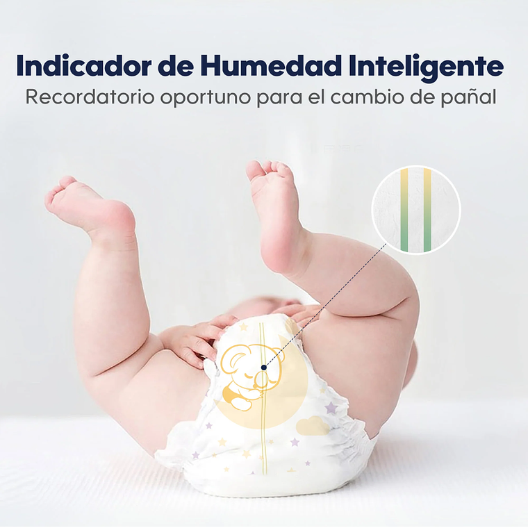 Aiwibi Dulce Noche P 8