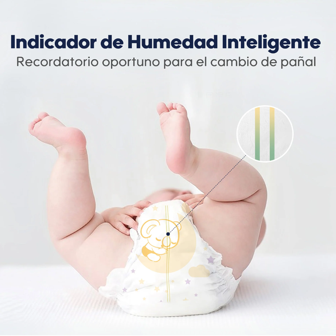 Aiwibi Dulce Noche XXG 8