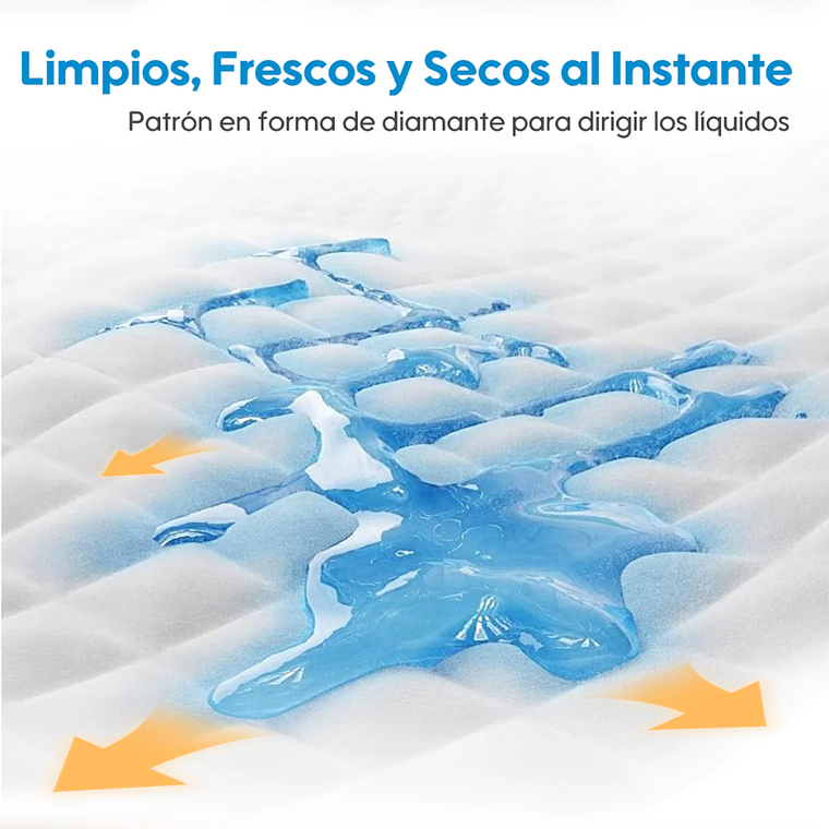 Aiwina Protectores Desechables Premium 5