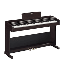 Piano Digital Arius YDP105 Rosewood-Yamaha