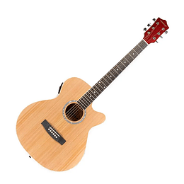 GUITARRA E/A FREEMAN FR-FG15TV  