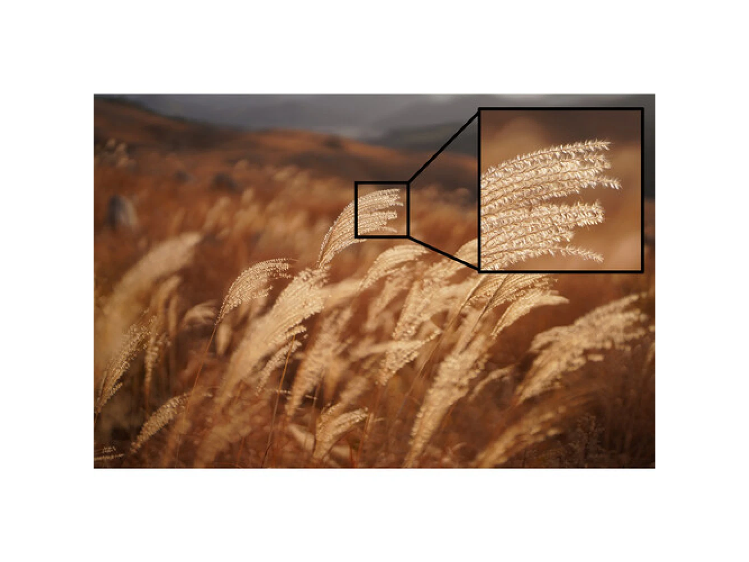 Lente Sony  FE 50mm F1.2 GM 3