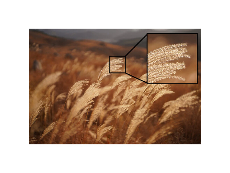 Lente Sony  FE 50mm F1.2 GM 3