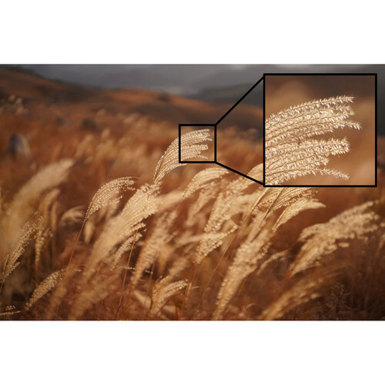 Lente Sony  FE 50mm F1.2 GM 3