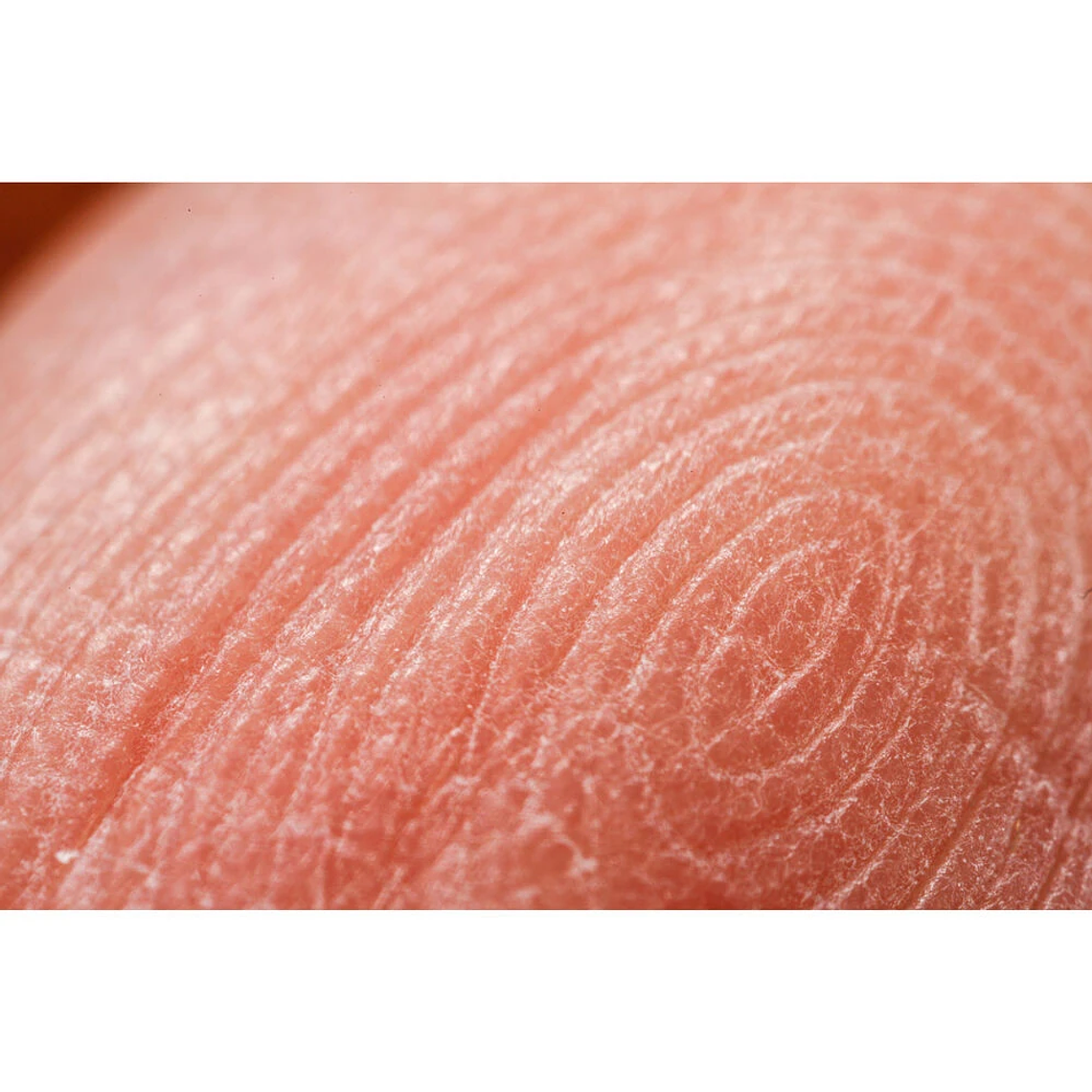 Mitakon Zhongyi  20mm f/2 4.5x Super Macro Sony 4